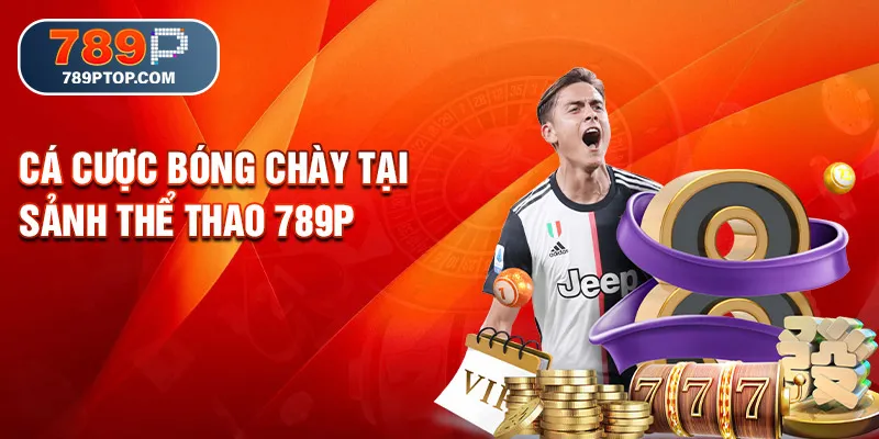Cá cược bóng chày tại sảnh thể thao 789P