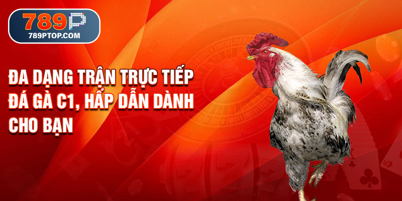 Đa dạng trận trực tiếp đá gà C1, hấp dẫn dành cho bạn
