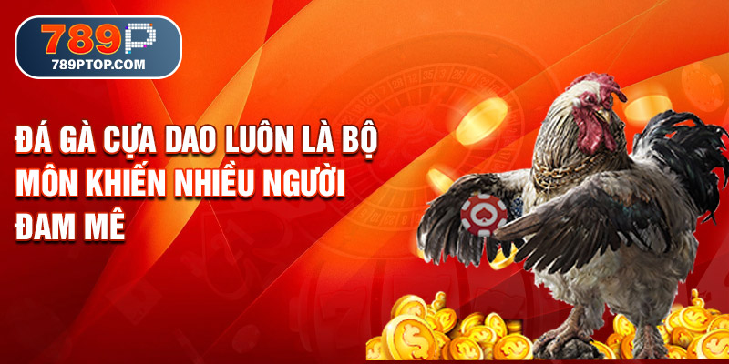 Đá gà cựa dao luôn là bộ môn khiến nhiều người đam mê