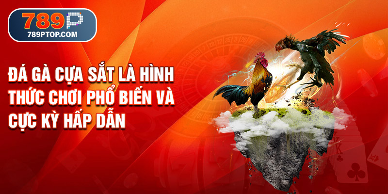 Đá gà cựa sắt là hình thức chơi phổ biến và cực kỳ hấp dẫn
