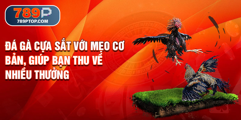 Đá gà cựa sắt với mẹo cơ bản, giúp bạn thu về nhiều thưởng