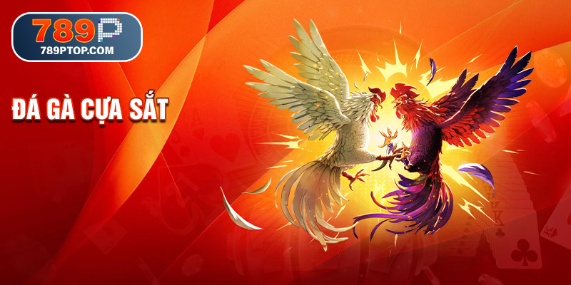 Đá gà cựa sắt