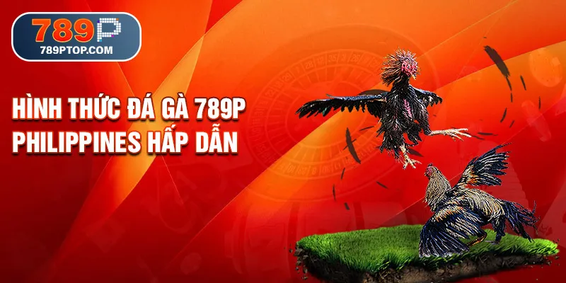 Hình thức đá gà 789P Philippines hấp dẫn