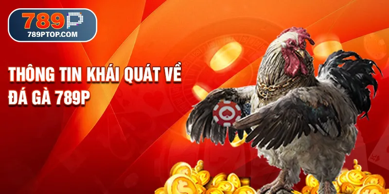 Thông tin khái quát về đá gà 789P