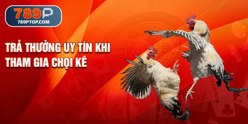 Trả thưởng uy tín khi tham gia chọi kê
