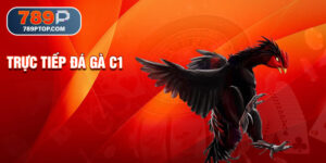 Trực tiếp đá gà C1